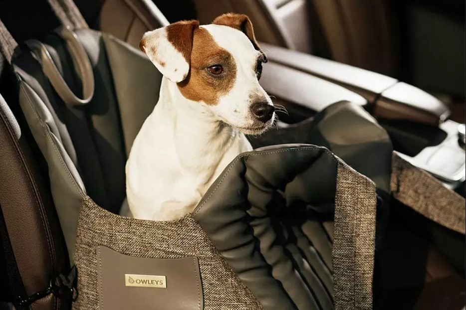 dog covers for cars