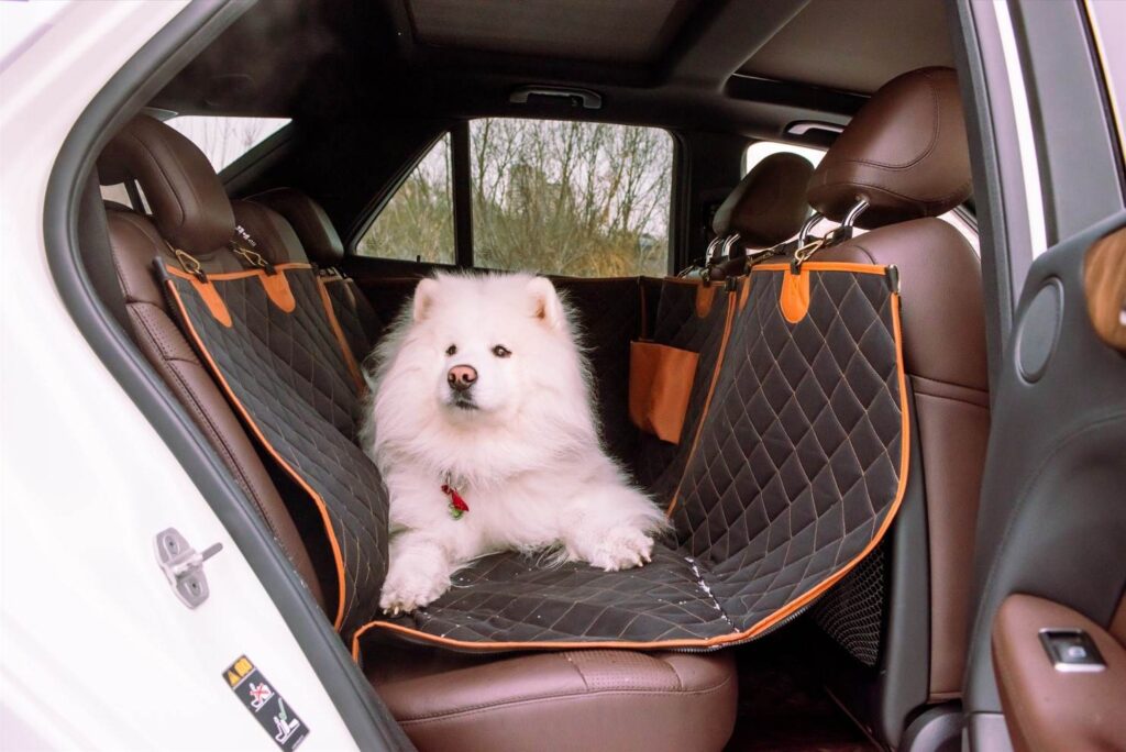 bmw dog seat cover