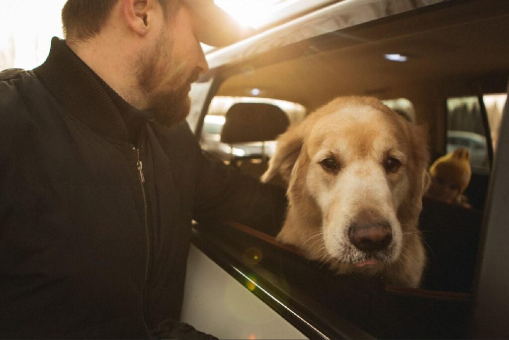 dog seat covers for leather seats