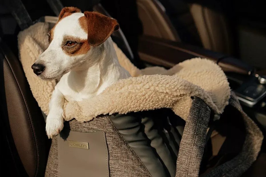 dog covers for cars