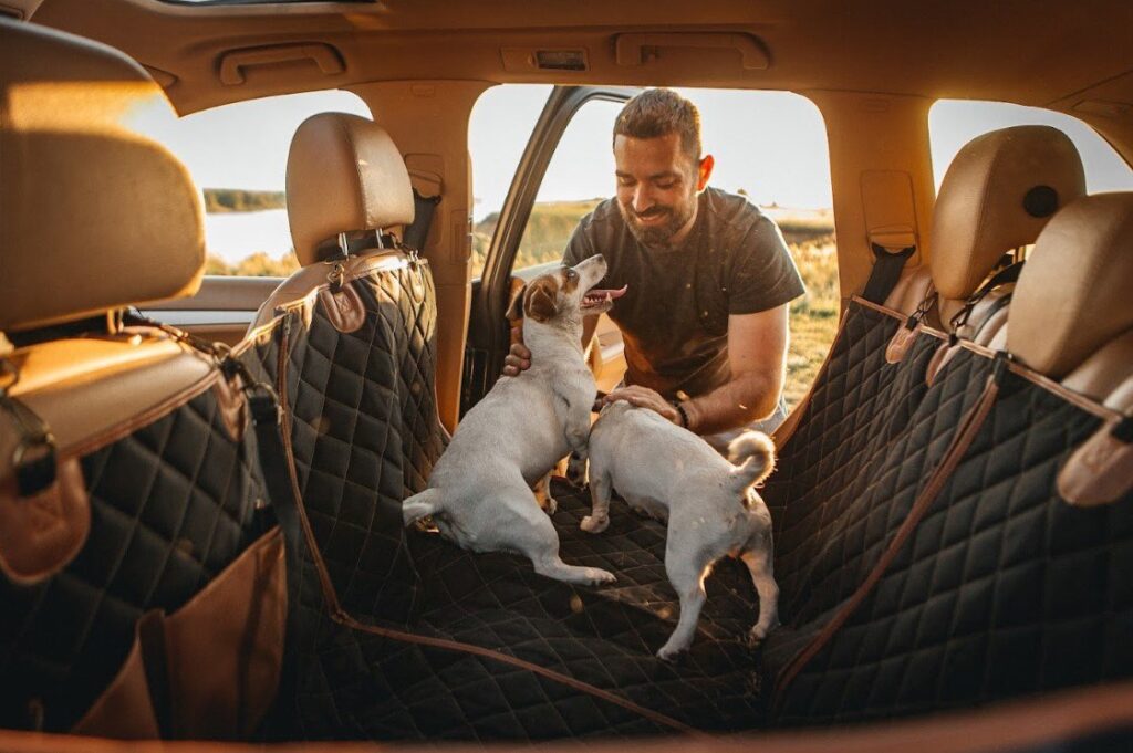 dog seat covers for leather seats