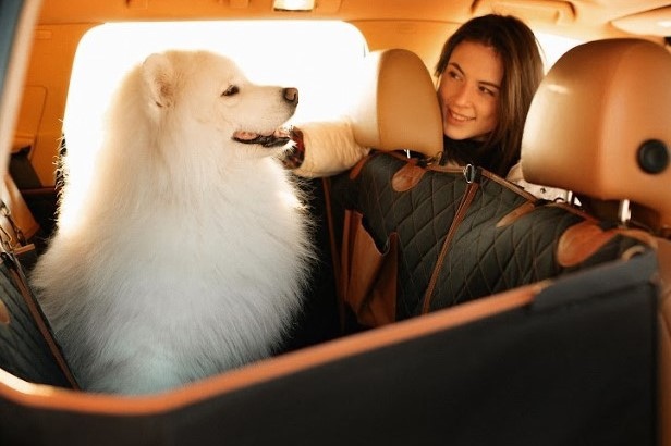 waterproof car seat covers for dogs